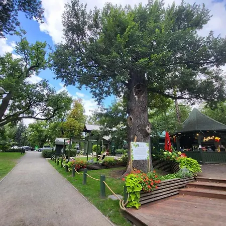 Aquarius Kilinskiego 2 Apartment *